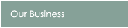 Our Business
