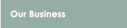 Our Business