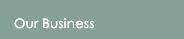 Our Business
